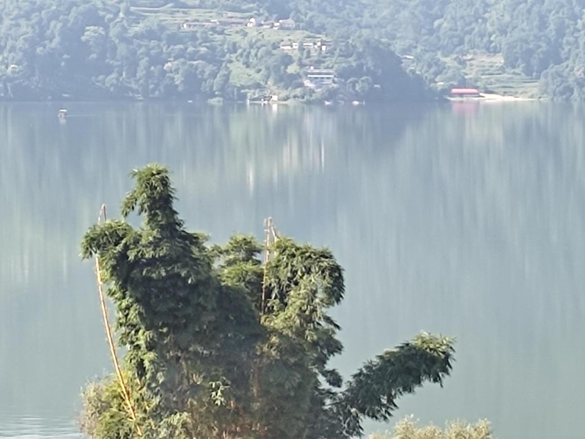 Hotel Green Hill View Pokhara Ngoại thất bức ảnh