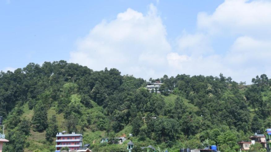 Hotel Green Hill View Pokhara Ngoại thất bức ảnh